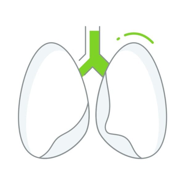 Lungs icon symbolizing respiratory health and medical diagnostics.