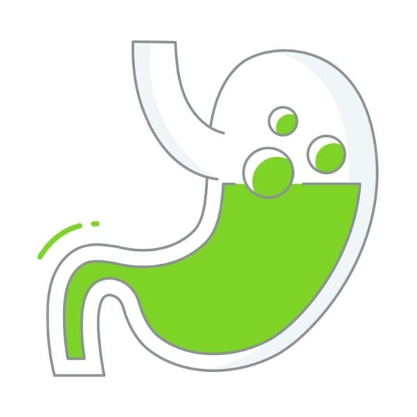 Stomach icon representing digestive health and medical diagnostics.